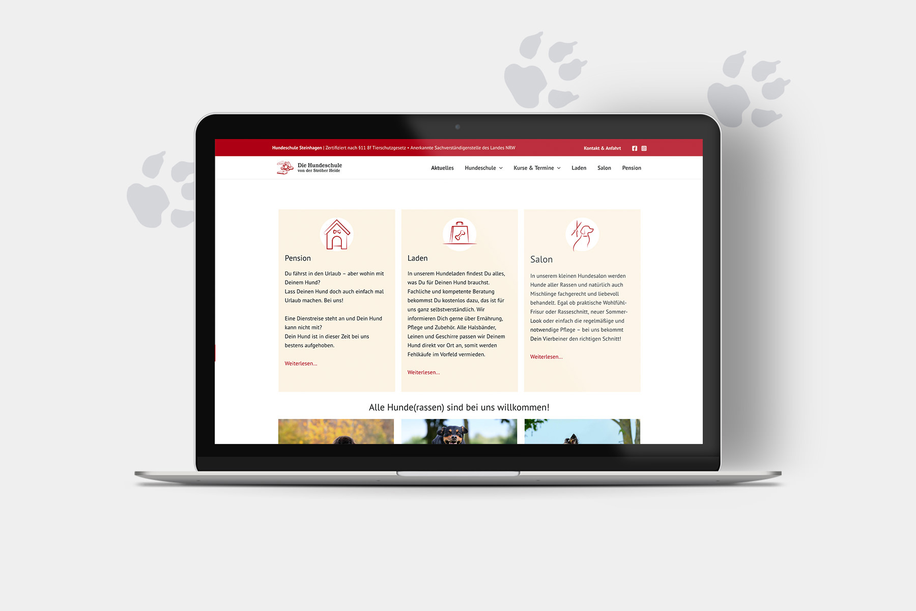 Webdesign und Website für Hundeschule, Layout auf Laptop